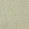 311 MEDIUM GREEN