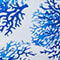 51 BLAUWEISS