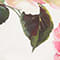 WHITE/ PINK/ GREEN