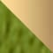 GREEN/ GOLD