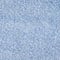 010 LIGHT BLUE