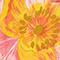 ORANGE/ GRÜN/ PINK