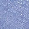 HELLBLAU