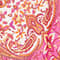 PINK/ WEISS/ ORANGE