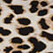 ECRU/ SCHWARZ/ CREME