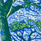 BLAU/ GRÜN