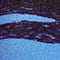 BLAU/ DUNKELBLAU