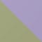 323682 - PURPLE/ GREEN