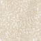 BEIGE/ CREME/ ECRU