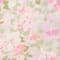 CREME/ NEONPINK/ HELLGRÜN
