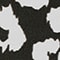 17 SCHWARZWEISS