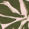 46 MULTI-KHAKI