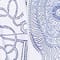 WEISS/ BLAU