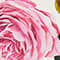 WEISS/ GRÜN/ ROSA