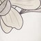 WEISS/ BEIGE/ TAUPE