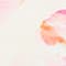 WEISS/ PINK/ GELB