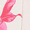 WEISS/ PINK/ ROSA