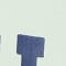 MINT/ DARK BLUE