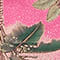 PINK/ GREEN/ TURQUOISE