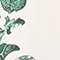 MINT/ LIGHT GREEN/ WHITE