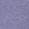 774 bluish violet