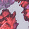ROT/ LILA