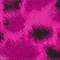 SCHWARZ/ FUCHSIA