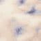 ECRU/ BEIGE/ BLUE