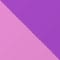 DARK PURPLE/ PURPLE