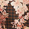 BRAUN/ SCHWARZ/ ROSA