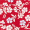 RED/ LIGHT BLUE/ ECRU