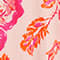 ROSÉ/ PINK/ ORANGE