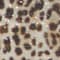 BEIGE/ BROWN/ DARK BROWN