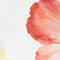 WEISS/ ORANGE/ FUCHSIA