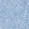 4785 BLUE JEAN