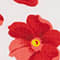 ROT/ WEISS