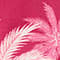 FUCHSIA/ ROSA
