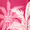 FUCHSIA/ ROSA