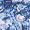 BLAU/ WEISS