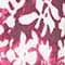 CREME/ FUCHSIA