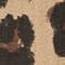 LIGHT BROWN/ DARK BROWN/ BROWN
