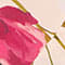 HELLROSA/ FUCHSIA/ GRÜN
