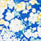 BLAU/ GELB/ CREME