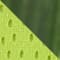 NEON YELLOW/ DARK GREEN