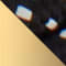 SCHWARZ/ GOLD