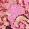 ROSE FUCHSIA/ MARRON CLAIR/ FUCHSIA