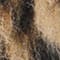 LIGHT BROWN/ BROWN/ BLACK