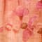LACHS/ FUCHSIA