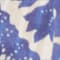 ECRU/ BLAU