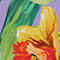 LIGHT PURPLE/ YELLOW/ GREEN